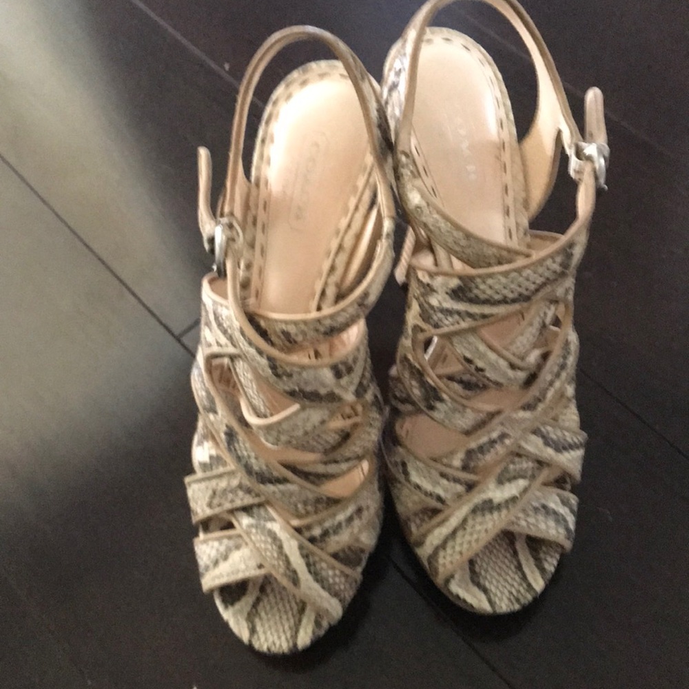 Coach Snake/Python Leather Shoes - image 3